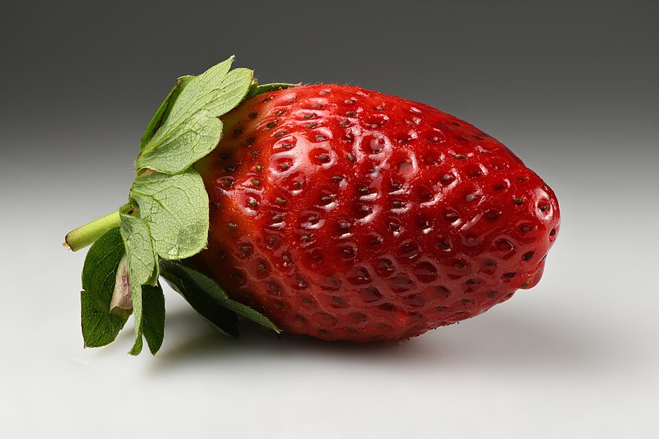 توت فرنگی
