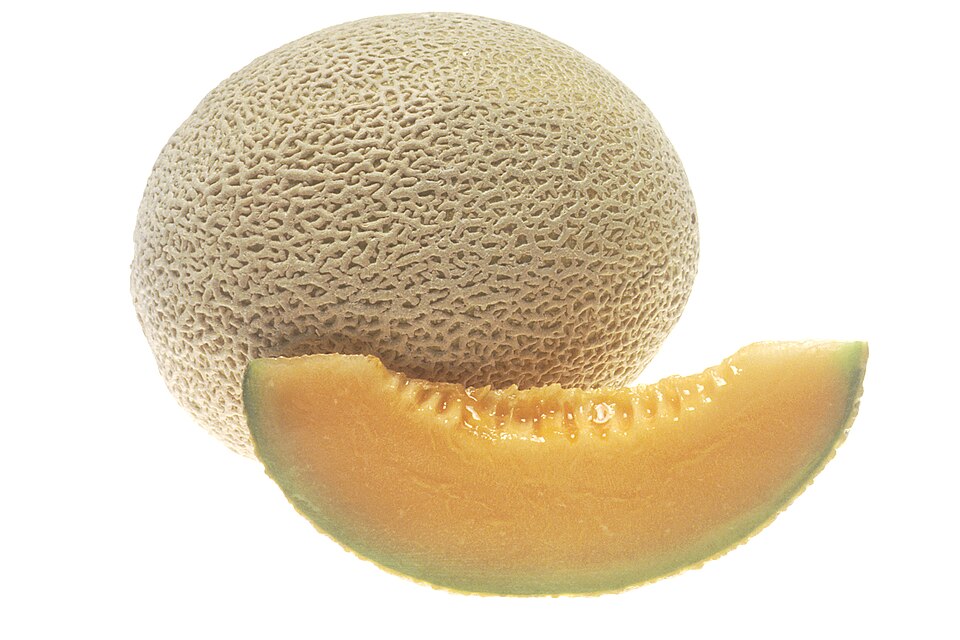 طالبی